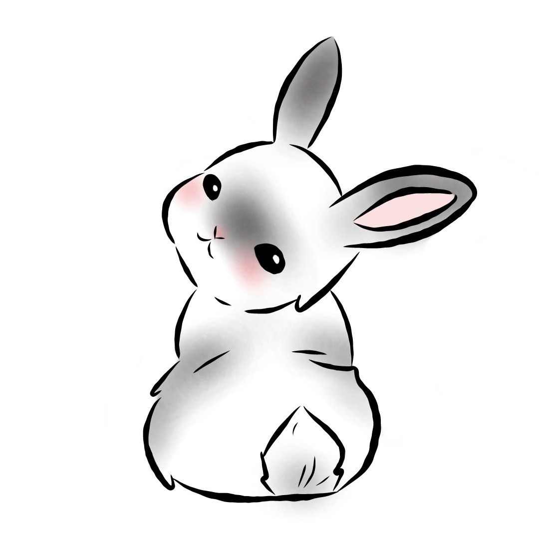 albiinorabbit